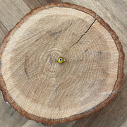 Yellow Eye